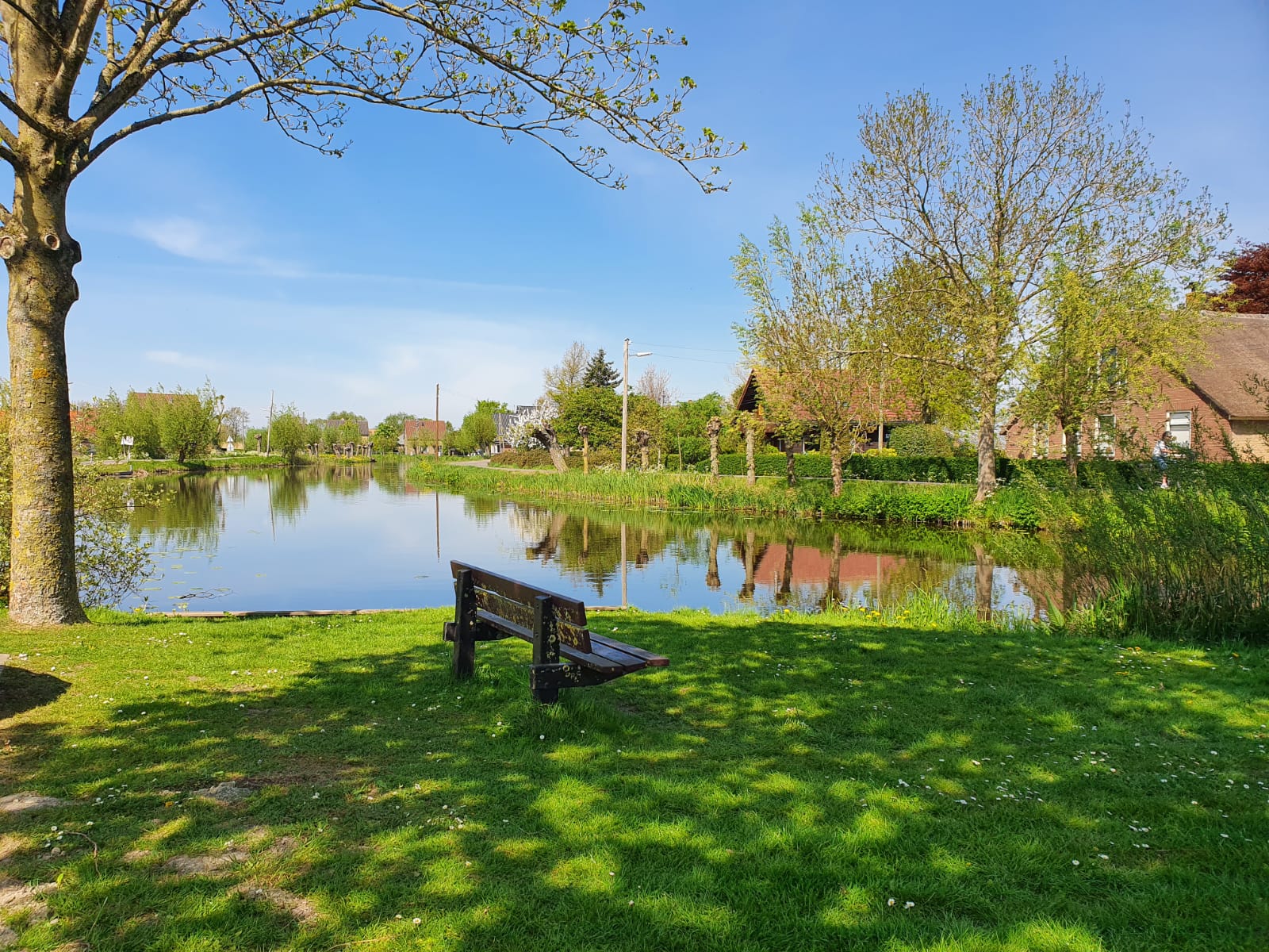 Geweldige stukje om te gaan picknicken, met onze gevulde picknickmand in de Vlist,Route Krimpenerwaard - Zuidplas echopper huren
